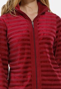 Red zip-up jacket with vertical stripes, made of soft fabric. Features a high collar and smooth zipper, with a textured velvet appearance.
