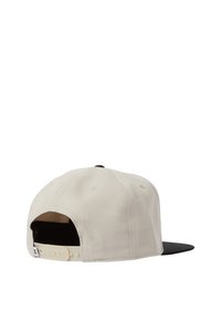 DC Shoes BRACKERS - SNAPBACK - Pet - sgl silver lining