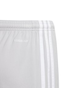 adidas Performance SQUADRA 21 Y - Korte broeken - grauweiss