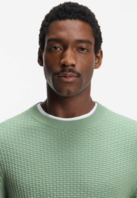 Vaaleanvihreä, teksturoitu neulepaita pyöreällä pääntiellä, kerroksittain valkoisen kauluksen päällä. Yksinkertainen muotoilu hienovaraisella kuviolla.