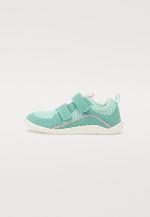 COLEBROOK - Trainers - menta