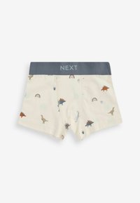 Next 10 PACK STANDARD - Panties - mineral dinosaur