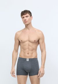 Grå bomulds boxer shorts med en elastisk talje, der har et lille logo-patch foran. Materialet ser blødt og glat ud.