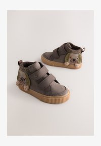 Ausgewählt, chocolate brown dog