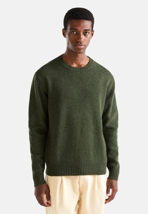 SHETLAND - Maglione - green