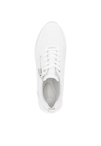 White sneaker featuring perforated design, flat laces, side zipper, padded collar, and cushioned insole. Smooth texture throughout.