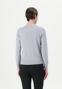 Sweater de malha cinza claro com mangas longas, gola redonda e barra ajustada, exibindo um design de costas sem costuras e punhos canelados.