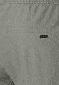 VIRTUS BOARD TALON - Badeshorts - sedona sage