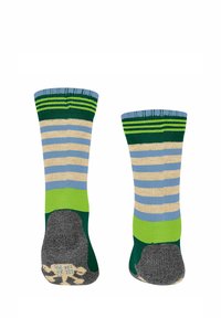 FALKE ACTIVE FROG - Sokken - emerald