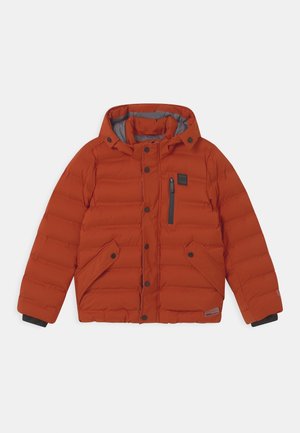 LION - Winterjacke - brique