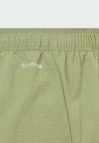 Shorts à taille élastique vert clair avec un motif en grille subtil et le logo blanc "Clima 365" sur le côté gauche.