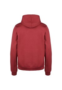 Sweat à capuche rouge avec une texture lisse, manches longues et poignets et ourlet côtelés. Vue de dos montrant un design simple, sans détails supplémentaires.