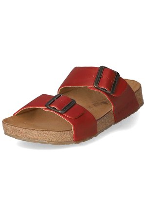 Haflinger ANDREA - Mules - rot