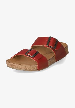 Haflinger, ANDREA - Mules - rot