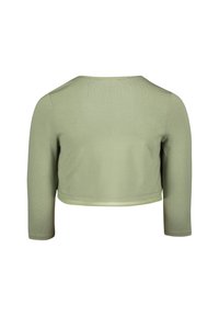 Przycięta bluzka z długim rękawem w jasnym zielonym kolorze, w prążkowanym wzorze, z okrągłym dekoltem i starannie wykończonym dołem oraz mankietami.