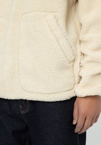 Dickies MOUNT HOPE - Fleecegenser - whitecap gray