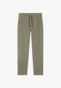 Non selezionato, aloe zebra animalier