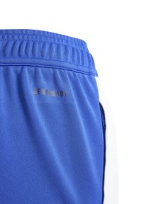 Blauwe sport shorts met een gestructureerde stof, een elastische tailleband en witte zijaccenten. Het "AEROREADY" logo is zichtbaar in metalen druk.
