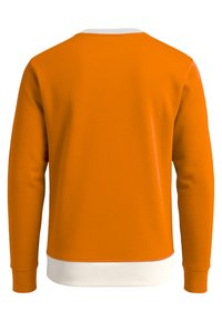 Felpa arancione con colletto tondo, maniche lunghe e polsini e orlo bianchi a coste. Texture liscia, senza motivo o decorazioni.