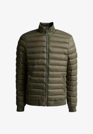 Alyvuogių žalios spalvos quiltuotas pūkinis švarkas su aukštu apykakliu, priekyje užtrauktuku, užtrauktuku užsegamais šoninėmis kišenėmis ir ribotomis rankogaliais bei apačia.