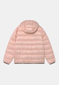 Padded jacket w jasnoróżowym kolorze z kapturem. Poziomy wzór pikowania, gładka tekstura, elastyczne mankiety i czarny dół. Widok z tyłu.
