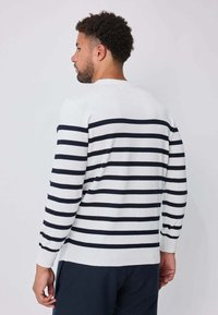 Pull blanc avec rayures horizontales bleu marine, col rond, poignets et ourlet côtelés, mélange de coton, coupe ajustée, détails de couture visibles à l'arrière.