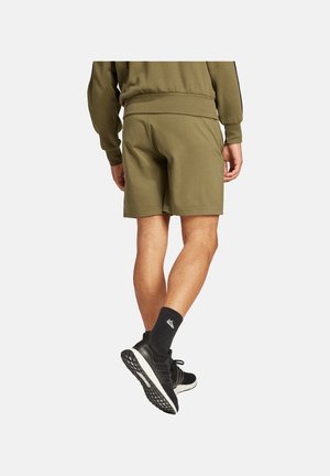 adidas Performance, Pantaloncini sportivi - gruen