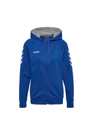 Blauwe ritshoodie met een grijsgelined capuchon, voorzien van witte chevronaccenten op de mouwen en een logo op de bovenste linkerborst. Katoenmengsel materiaal.