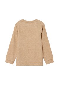 Beige Sweatshirt mit langen Ärmeln, weichem Stoff, runder Ausschnitt und Bündchenärmeln, mit einer glatten, einheitlichen Oberfläche und ohne Muster.
