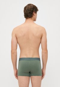 Boxer-briefs pour hommes à rayures vertes avec une ceinture contrastante. Tissu lisse avec de fines rayures blanches horizontales, design ajusté pour le confort.