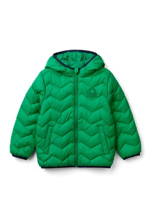 PADDED  - Winter jacket - green