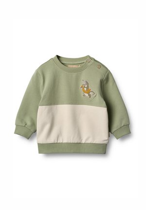 Grüner und cremfarbener, farbblockierter Sweatshirt mit Rundhalsausschnitt, langen Ärmeln und strukturiertem Stoff; verfügt über ein gesticktes Dinosaurierdesign.