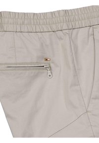 Helle graue Hosen mit einem gerafften elastischen Bund, ausgestattet mit einer Reißverschlusstasche und dezenten Nähten. Glatte Textur und modernes Design.