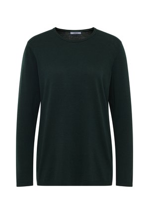 Donkergroene lange mouwen crewneck sweater met een eenvoudige, gladde breistekstuur en een rechte zoom.