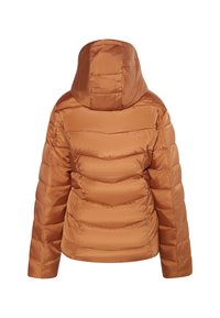 Giacca a vento marrone con cappuccio, caratterizzata da una texture trapuntata e cuciture orizzontali. Materiale liscio e lucido. Visualizzazione dalla parte posteriore.