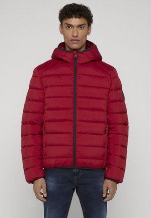 Ecoalf ASPENALF - Winterjacke - dark red