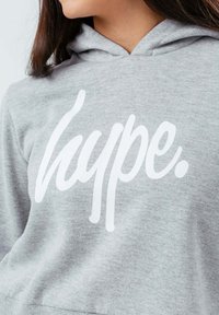 Hype SCRIPT - Jersey con capucha - grey