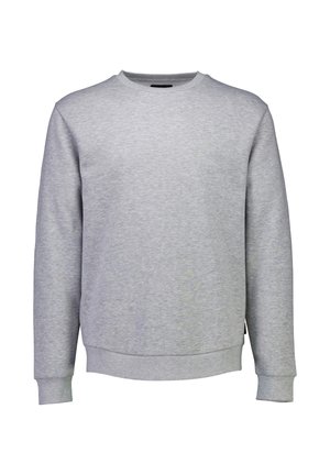 Lichtgrijze ronde hals sweatshirt met lange mouwen, ribgebreide boorden en onderrand, gemaakt van een zachte stof met een gladde textuur. Geen patronen of accenten.
