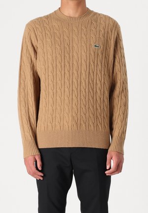 Homme portant un pull beige en maille torsadée avec un petit logo de crocodile vert sur le côté gauche de la poitrine et un pantalon noir.