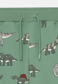 Grüner Stoff mit Kordelzug, ausgestattet mit einem Muster von verschiedenen illustrierten Dinosauriern in gedämpften Farben und einfachen Designs.