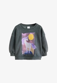 Neselectat, grey unicorn