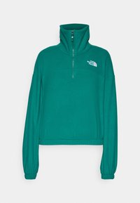 100 GLACIER HALF ZIP - Fliisdžemper - evergreen