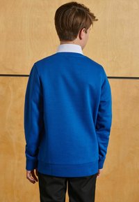 Felpa blu con maniche lunghe, scollo rotondo e polsini a costine. Indossata sopra pantaloni neri, con uno sfondo di legno. Vista da dietro.