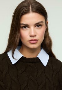 Maglione marrone a trecce con un motivo testurizzato e una camicia azzurra con colletto sotto, dotato di scollatura rotonda e maniche lunghe.