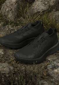 Mustat Gore-Tex Terrex polkujuoksukengät asetettuna kiviselle maalle kuivia lehtiä ja ruohoa ympärillä ulkoilmassa.