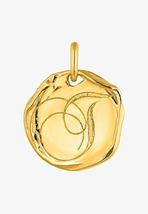 Colgante de oro con una forma orgánica e irregular, con líneas fluidas y un acabado pulido, que destaca por sus intrincados detalles en espiral.