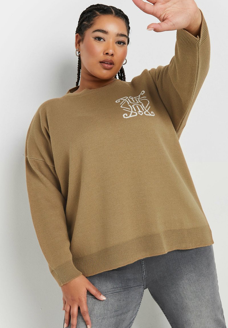 Brauner Strickpullover mit Rundhalsausschnitt, überschnittenen Schultern und einem gestickten Design auf der Brust, kombiniert mit grauen Jeans.
