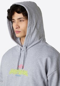 The North Face U EXPEDITION CELEBRATION OVERSIZED HOODI - Felpa con cappuccio - tnf light grey heather