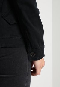 Hollister Co. Parkas - black
