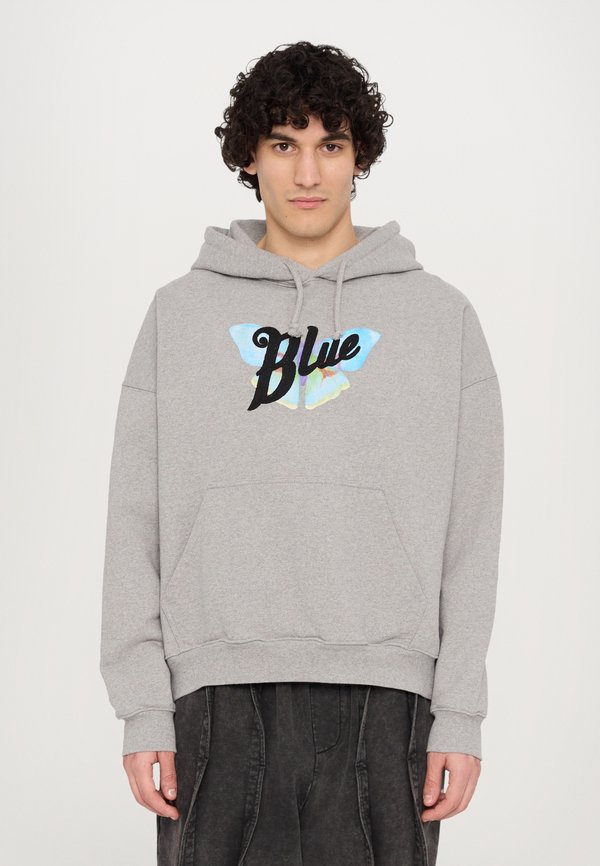 REGULAR HOODIE - Sweatshirt